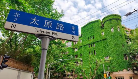 在上海这些“绿色能量场”，邂逅夏日清凉